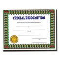 Special Recognition Stock Certificate
